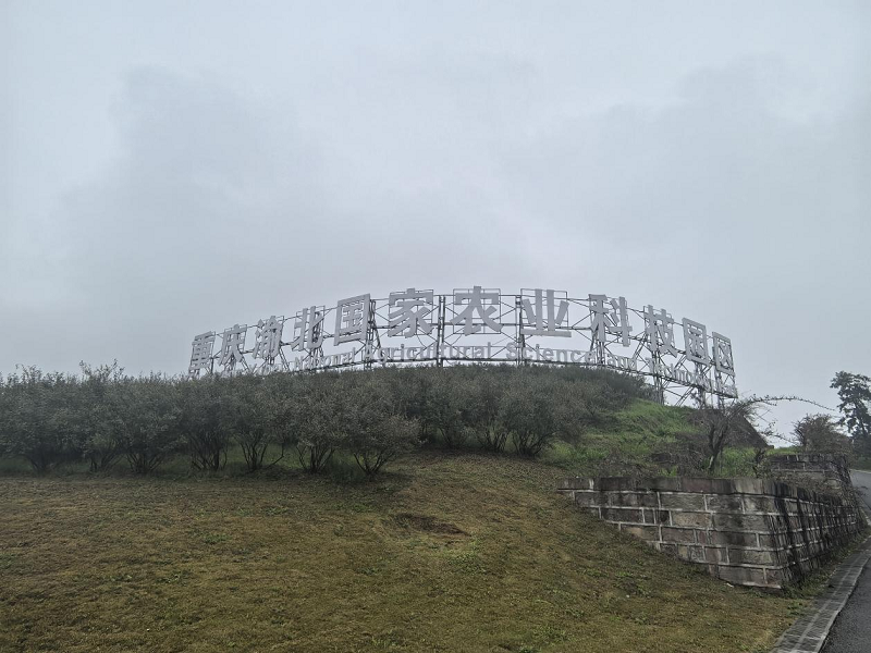 图片19.png