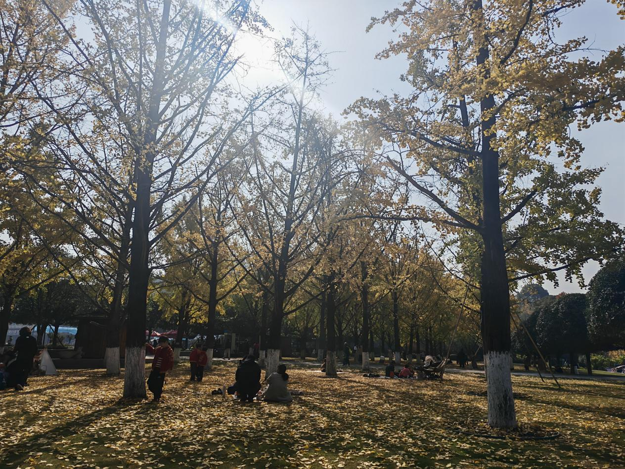 1766732946147033.png 图片20.png