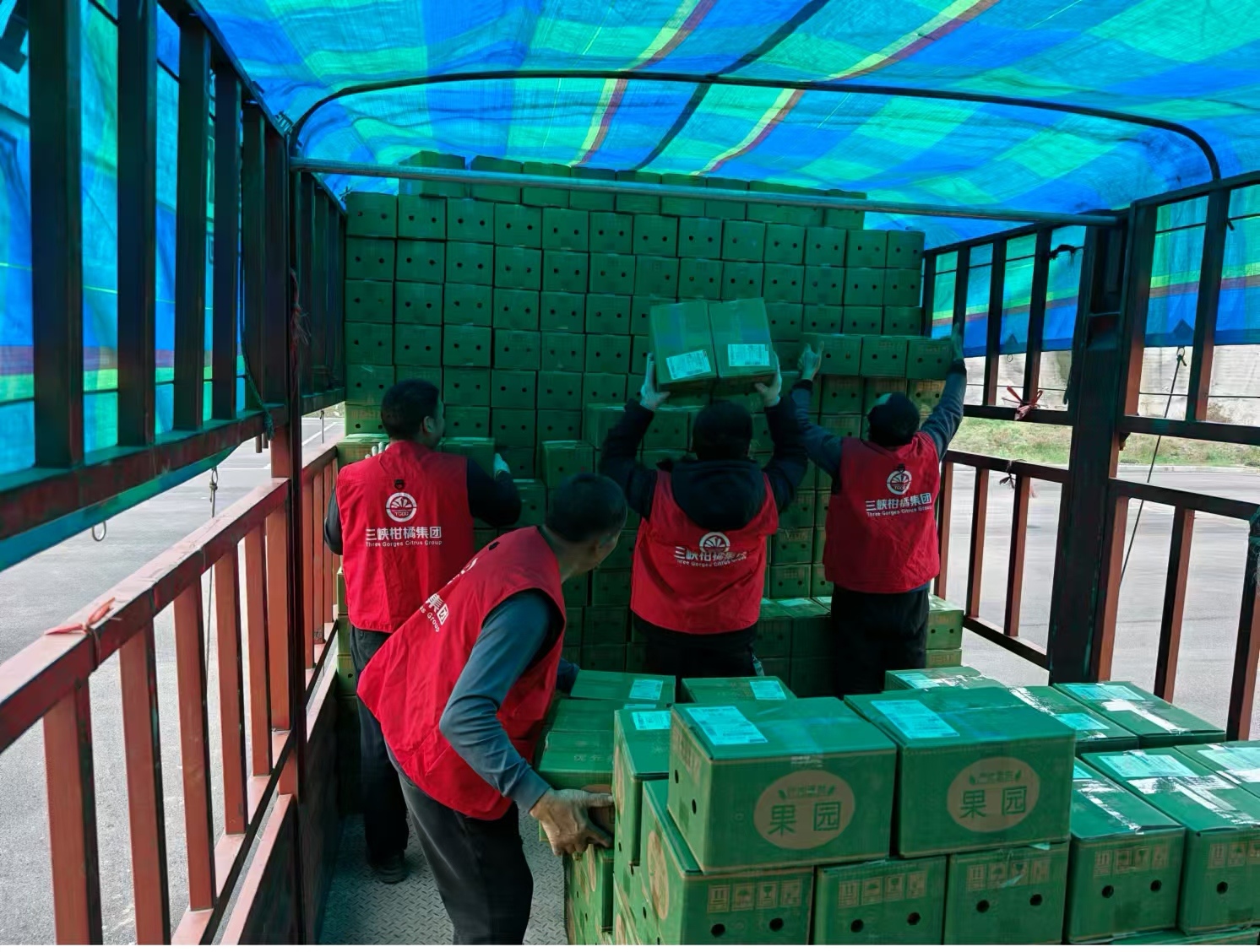 1774596095752909.jpg 微信图片_20260327100213_54_73.jpg